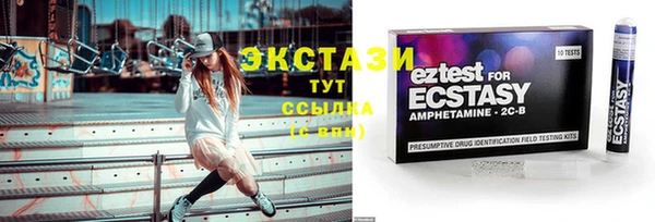 СК Алексин