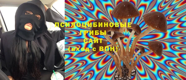 СК Алексин