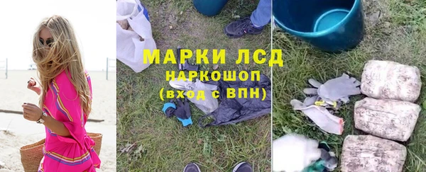 СК Алексин