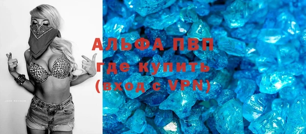 СК Алексин