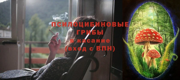 гашик Алзамай